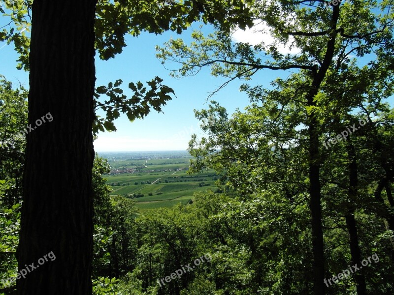 Palatine Views Hiking Palatinate Free Photos