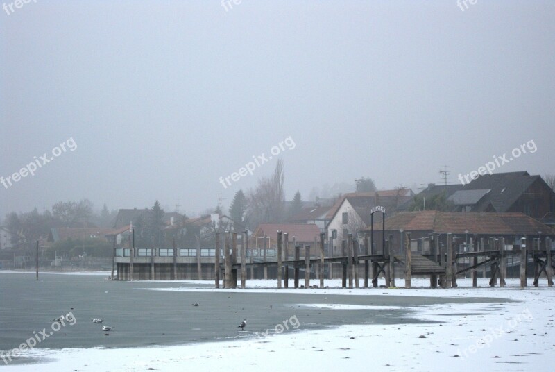 Allensbach Frozen Lake Constance Winter Web