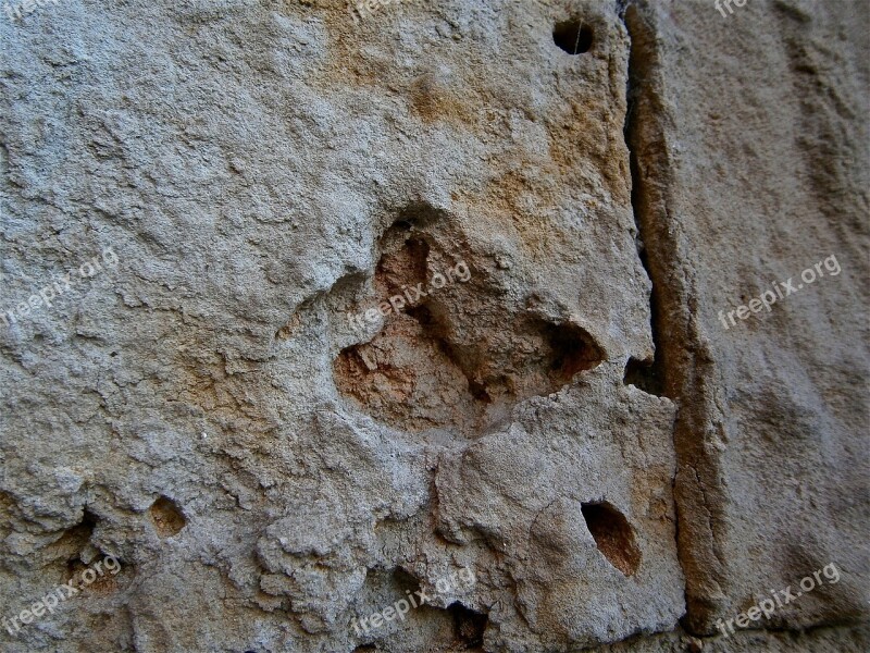 Texture Stone Wall Sandstone Erosion