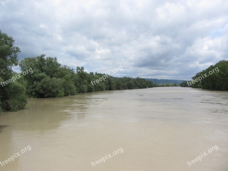 High Water River Tree Landscape Brown