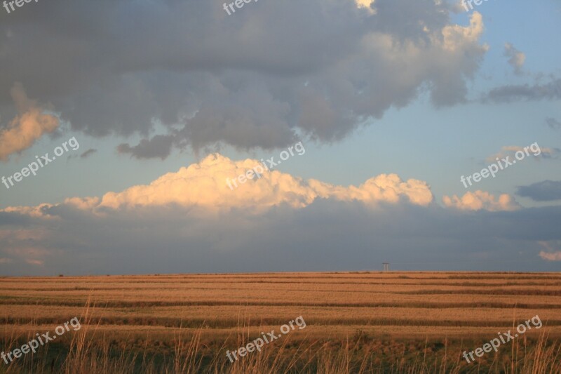 Field Flat Outstreched Deep Ochre Grass