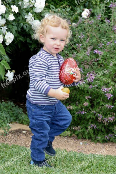 Boy Little Boy Sweet Toddler Easter