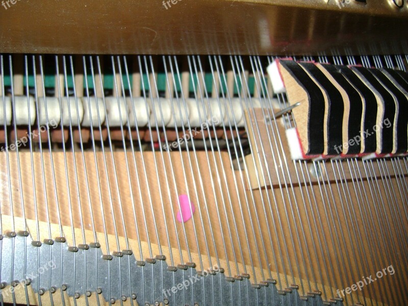 Piano Hammers Piano Strings Grand Piano Strings Grand Piano Hammers Grand Piano