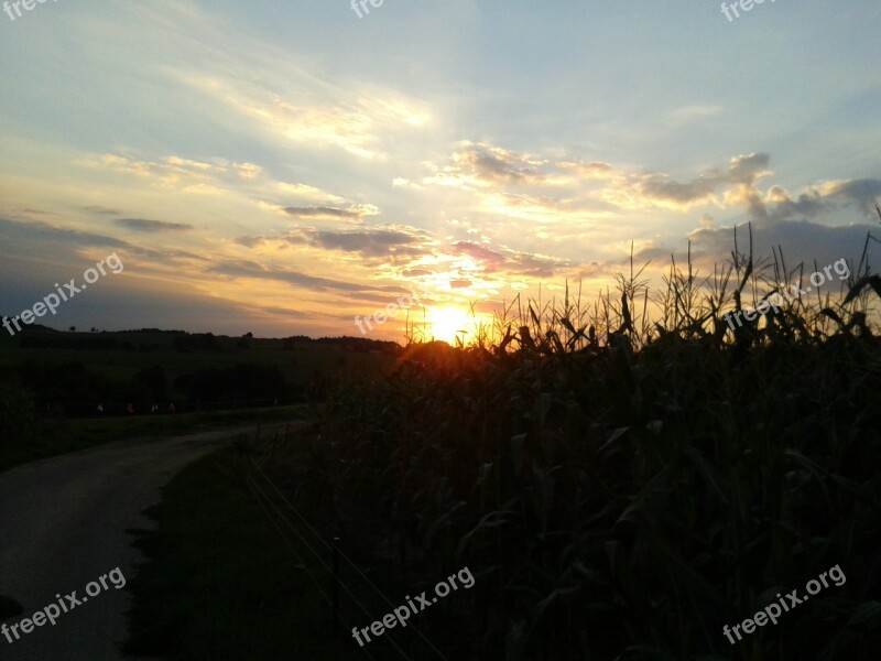 Sunset Away Cornfield Sky Landscapes