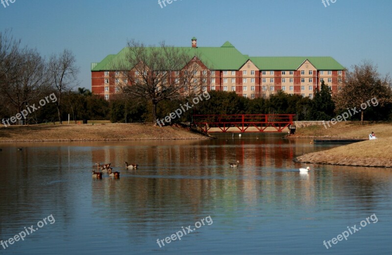 Building Red White Green Roof Trees Pond