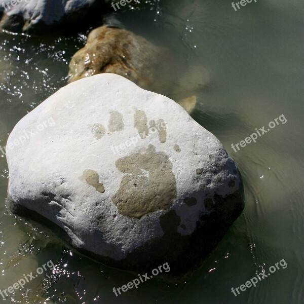 Water Rock Footprint Hand Free Photos