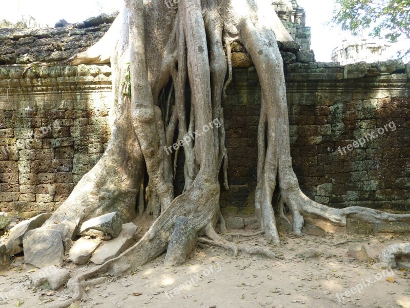 Cambodia Temple Siem Reap Free Photos