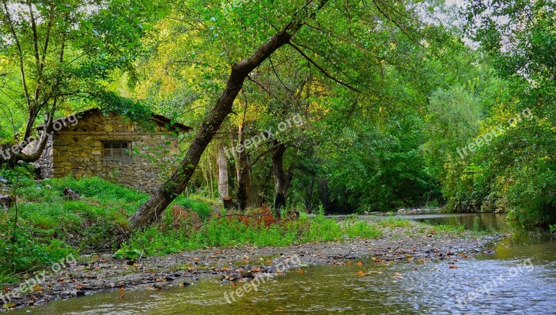 Water Village Water Mill Nature Greens