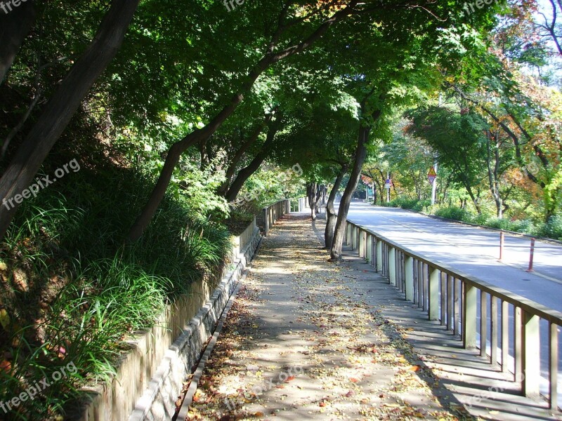 Republic Of Korea Road Landscape Scenery Nature