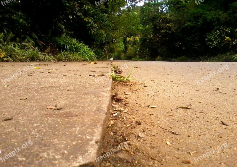 Road Way Line Road Marking Travel