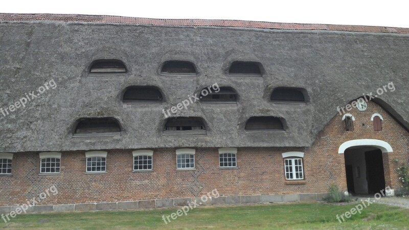 Reed Roof Rural Outside Free Photos