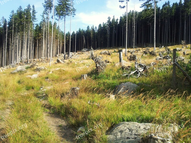 Resin Nature Hike Hiking Free Photos