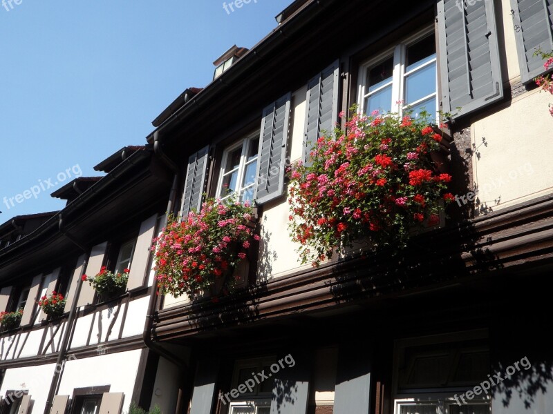 Houses Facade Building Angel Lane Gengenbach