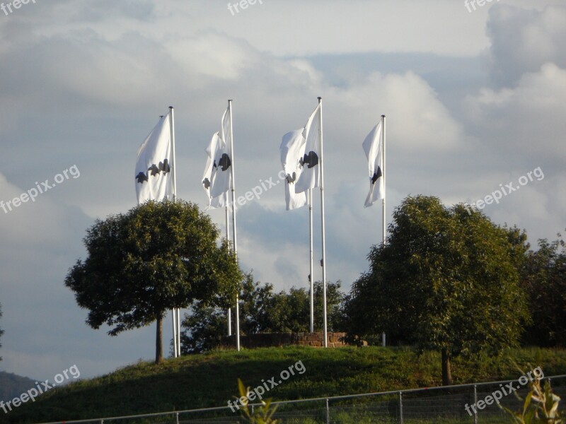 Zoo Sanfrancisco Freiburg Flags Blow