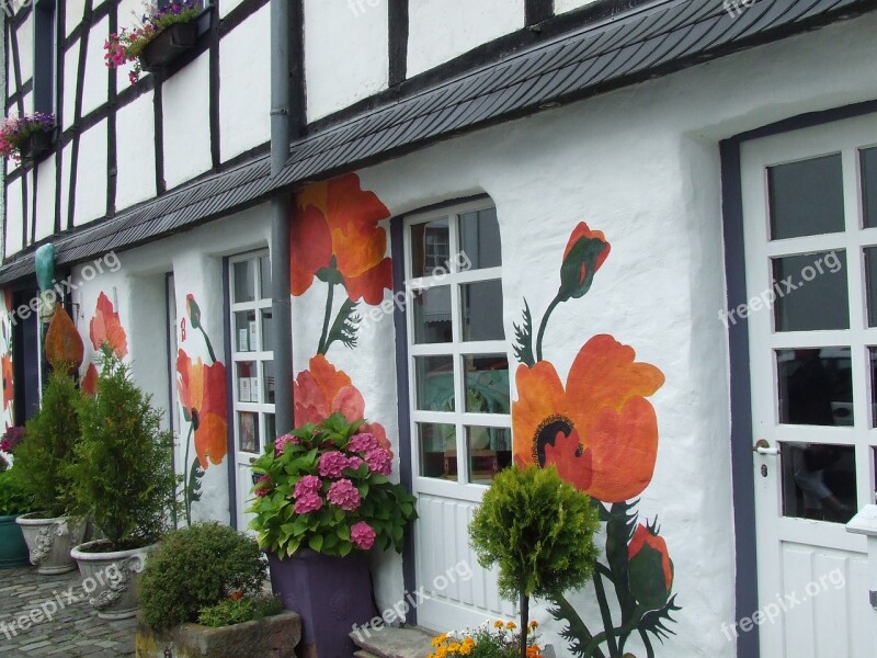 Hauswand Mural Klatschmohn Facade Art