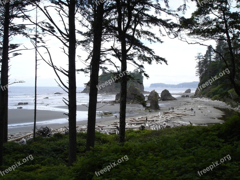 Ruby Beach Beach Driftwood Rock Formations Coast