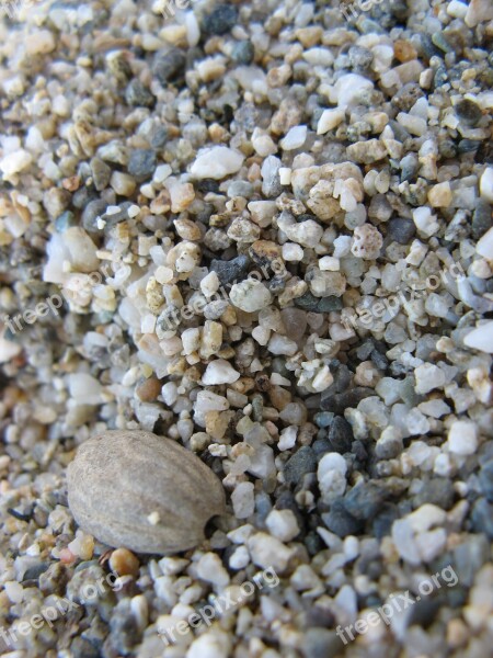 Beach Sand Stones Summer Free Photos