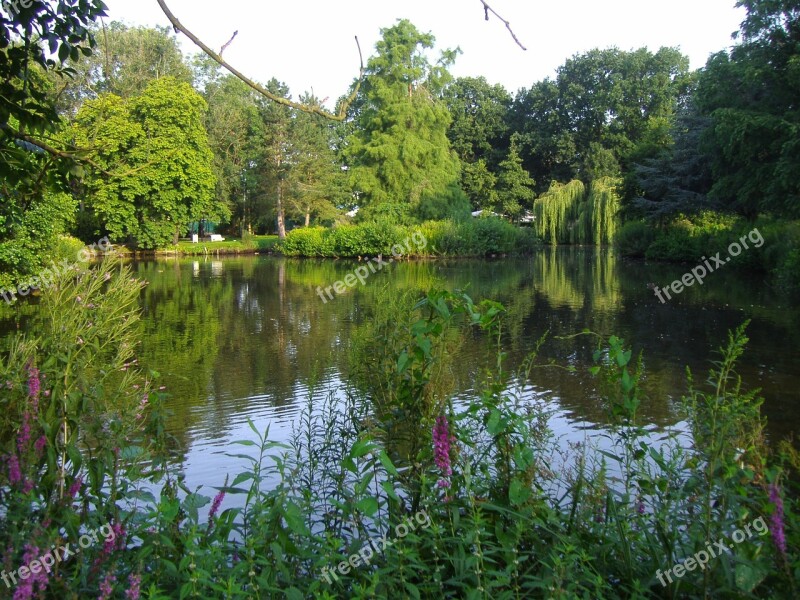 Nature Pond Water Reflection Free Photos