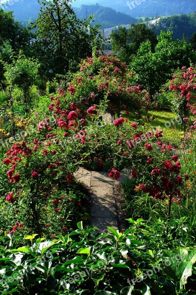 Garden Summer Arch Free Photos