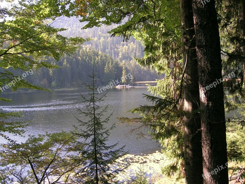 Arbersee Nature Bergsee Rest Landscape