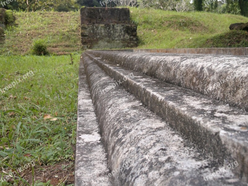 Steps Stone Landscapes Ceylon Peradeniya