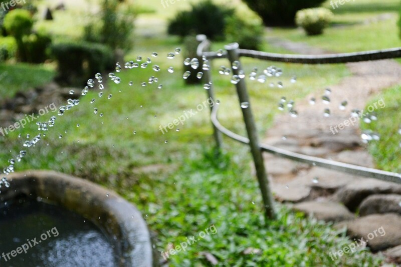 Watering Water Drops Drops Dripping Nature