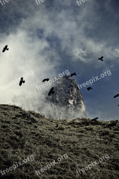 Mountains Mountain Dolen Dolen Birds Klausen Pass