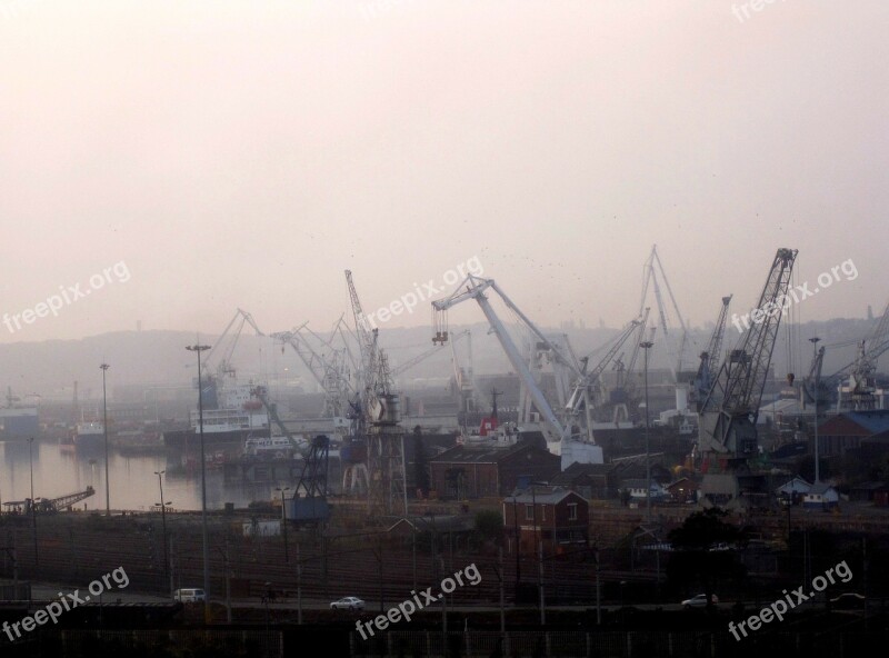 Early Morning Dawn Fog Cranes Lilac Sky