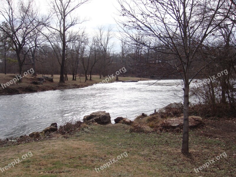 Stream Trees Fall Bare Trees Water