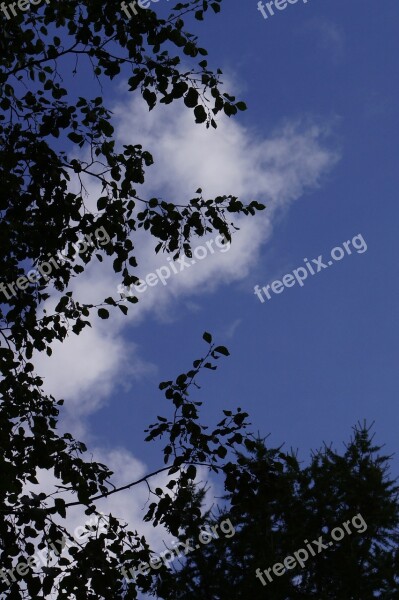 Sky Cloud Blue Silhouette Bright