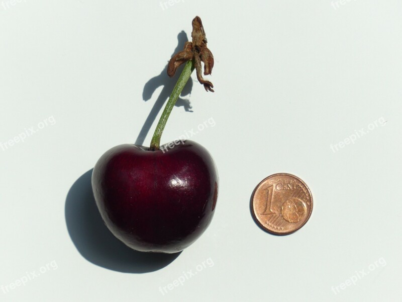 Cherry Large Huge Size Comparison Cent