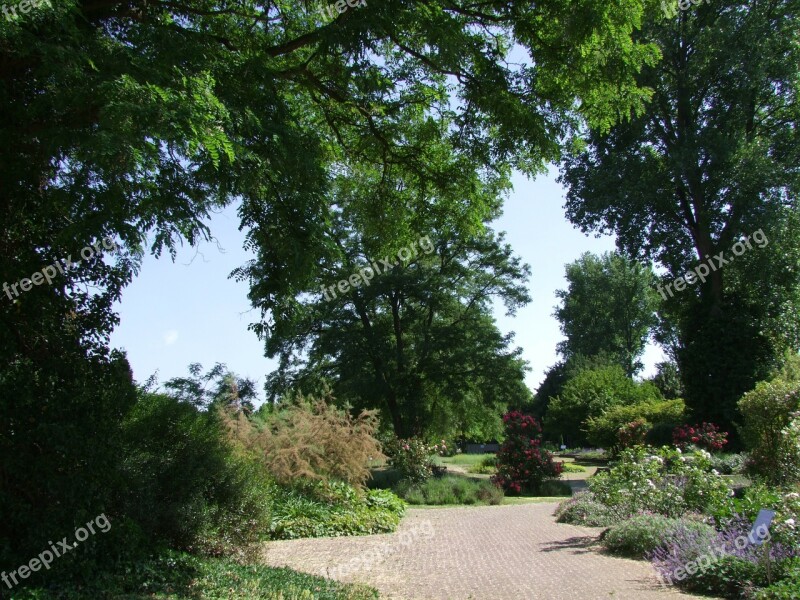 Botanical Garden Düsseldorf Garden Park Spring