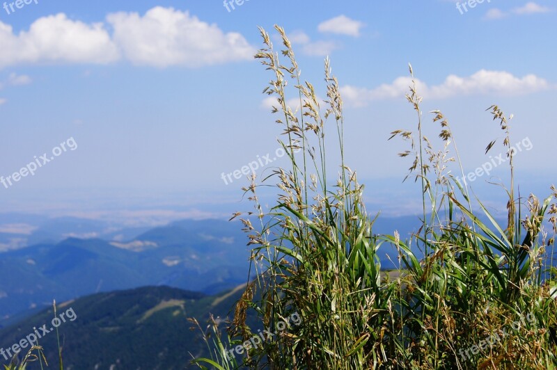 View Mountain Valley Alpine Sky