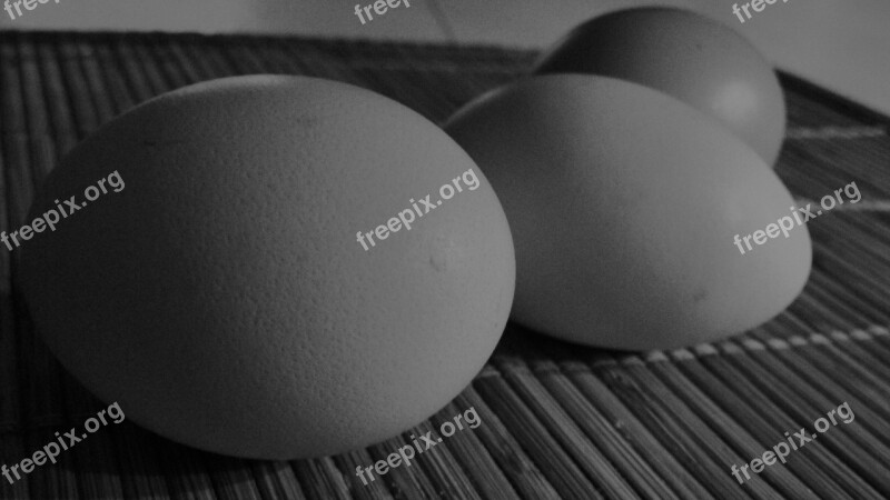 Eggs Black And White Hens Free Photos