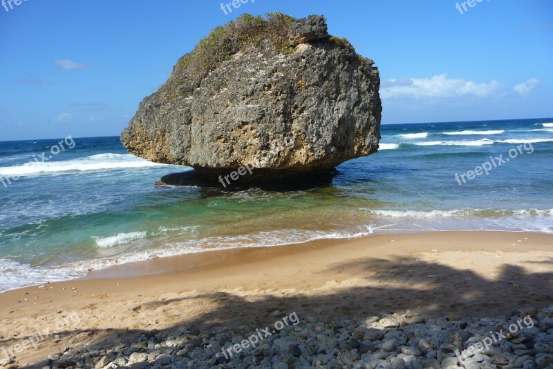 Barbados Beach Summer Sun Caribbean