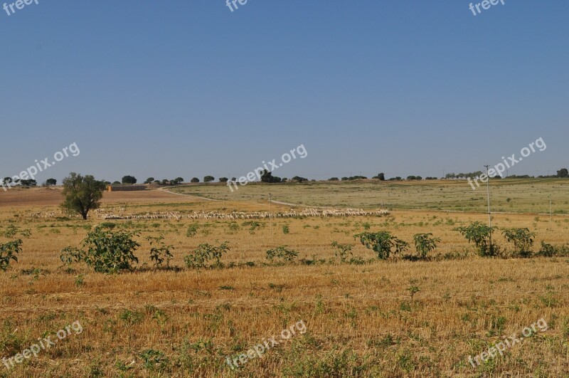 Field Landscape Stain Nature Free Photos