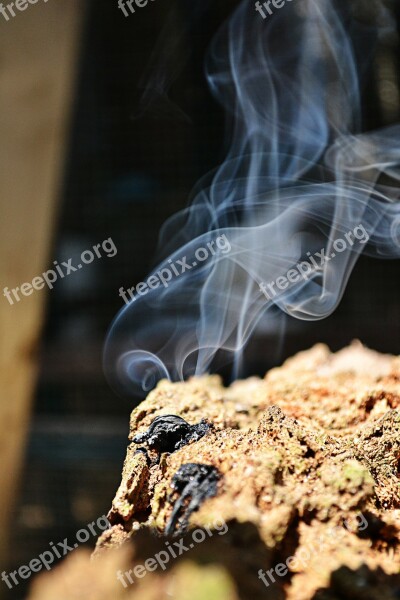 Smoke Log On Fire Fire Old Log Smoke Effect