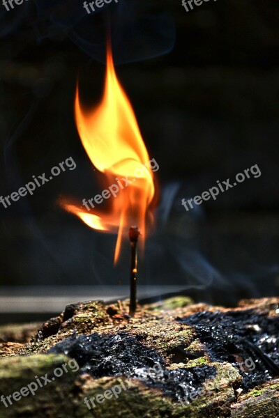 Fire Match Stick Burn Burning Flame