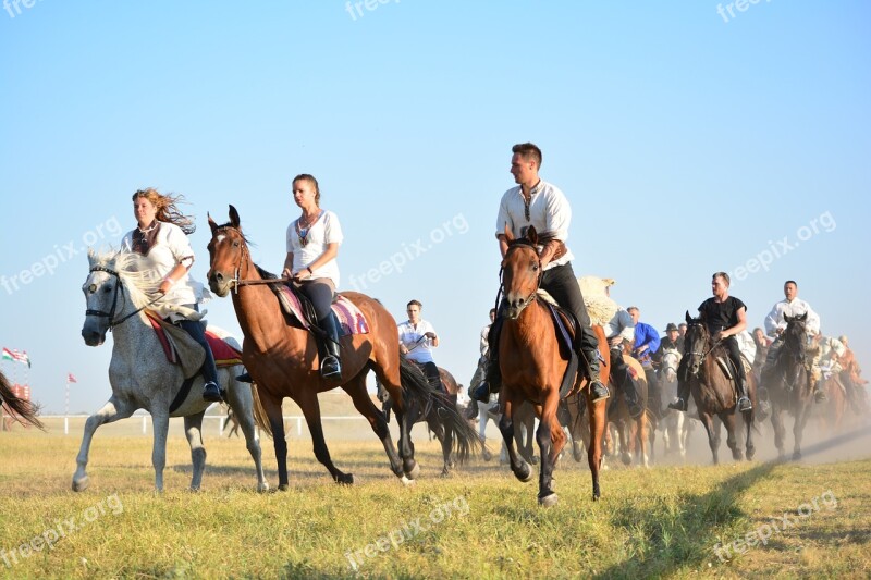 Horse Tradition Rider Horse Riding Free Photos