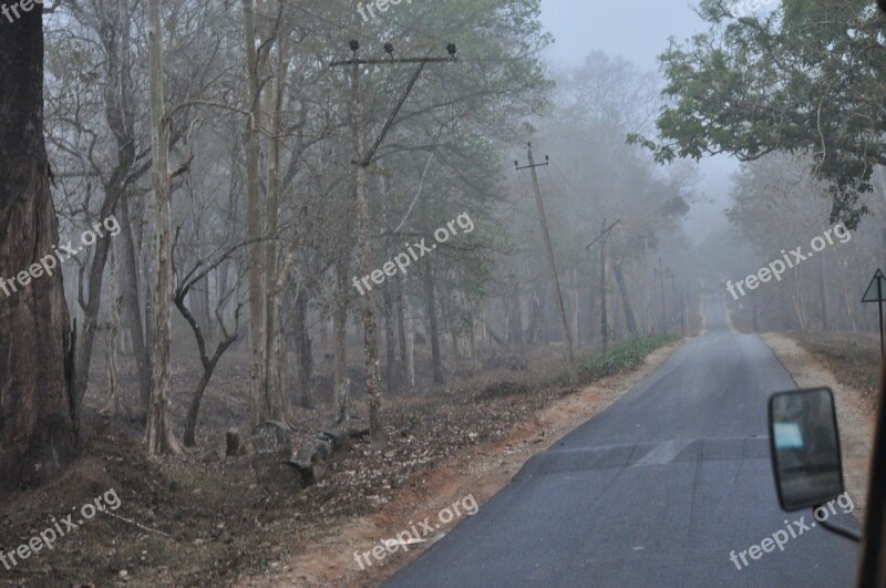 Spooky Mystic Mist Fog Road