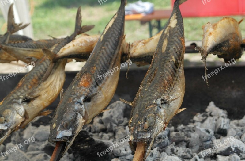 Steckerlfisch Mackerel Grill Fish Charcoal