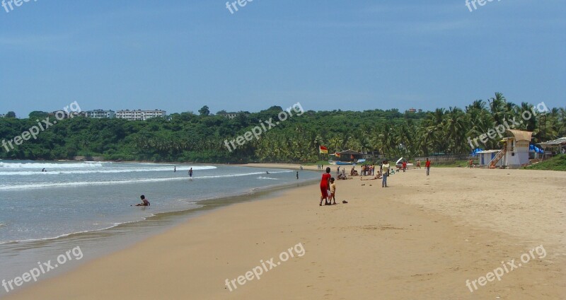 Goa Bogmalo Beach India Beach Palm Trees