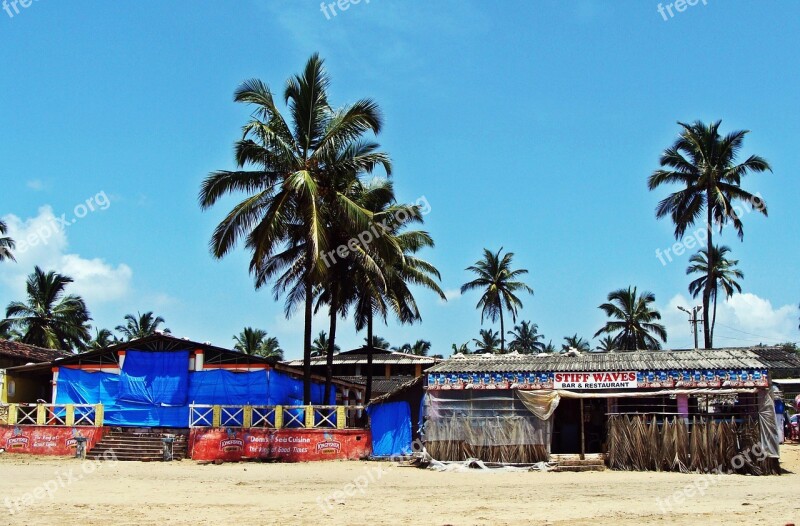 Goa Bogmalo Beach Arabian Sea Coconut Palm Sand