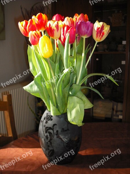 Vase Tulip Flower Free Photos