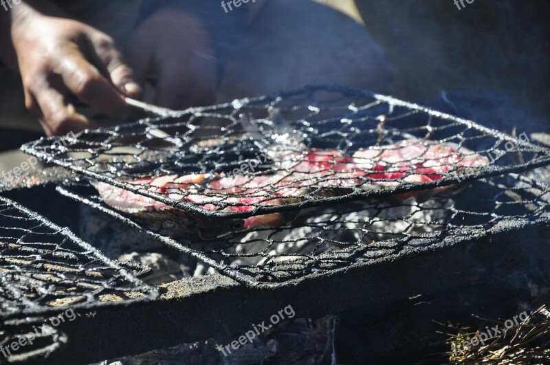 The Wild Grilled Fish Field Kitchen Free Photos