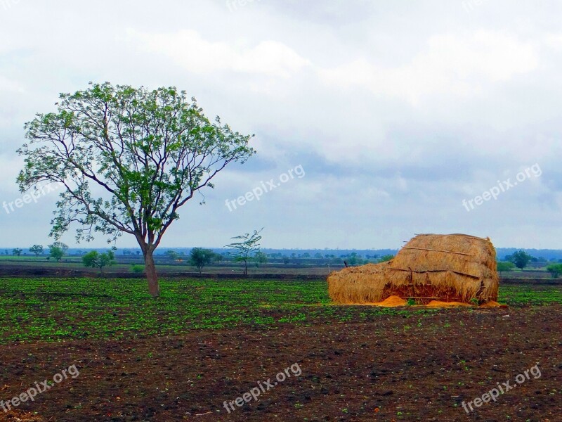 Black Cotton Soil Landscape Hay Stack