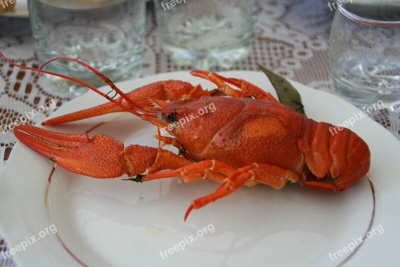 Cancer Eat Court Red Lake Sevan