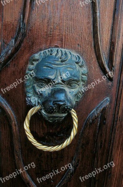 Doorknocker Door Handle Door Wood Metal