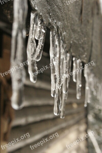 Winter Ice Icicle Frozen Christmas