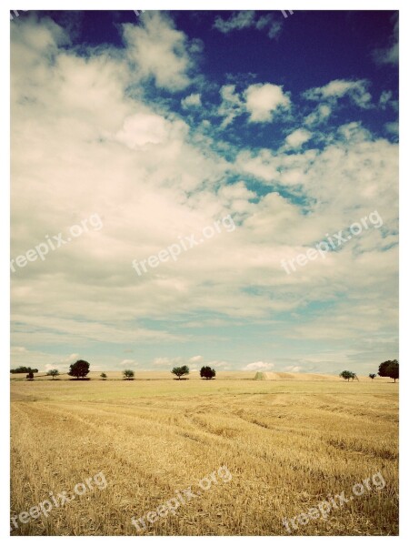 Landscape Trees Fields Straw Sky